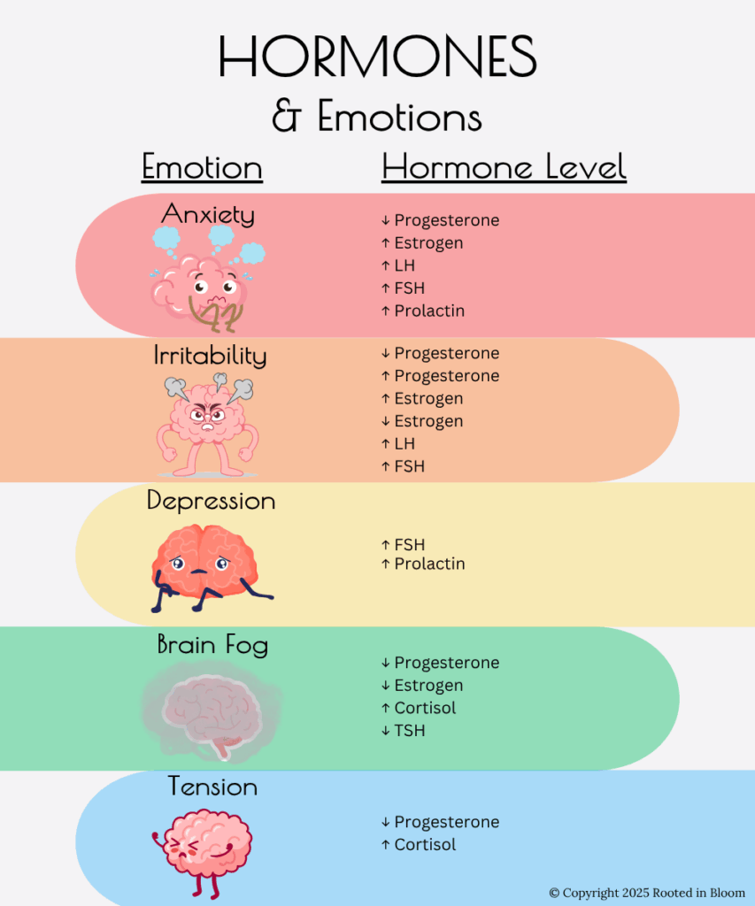Infographic connecting hormone fluctuations to emotional states like anxiety, calm, or irritability.