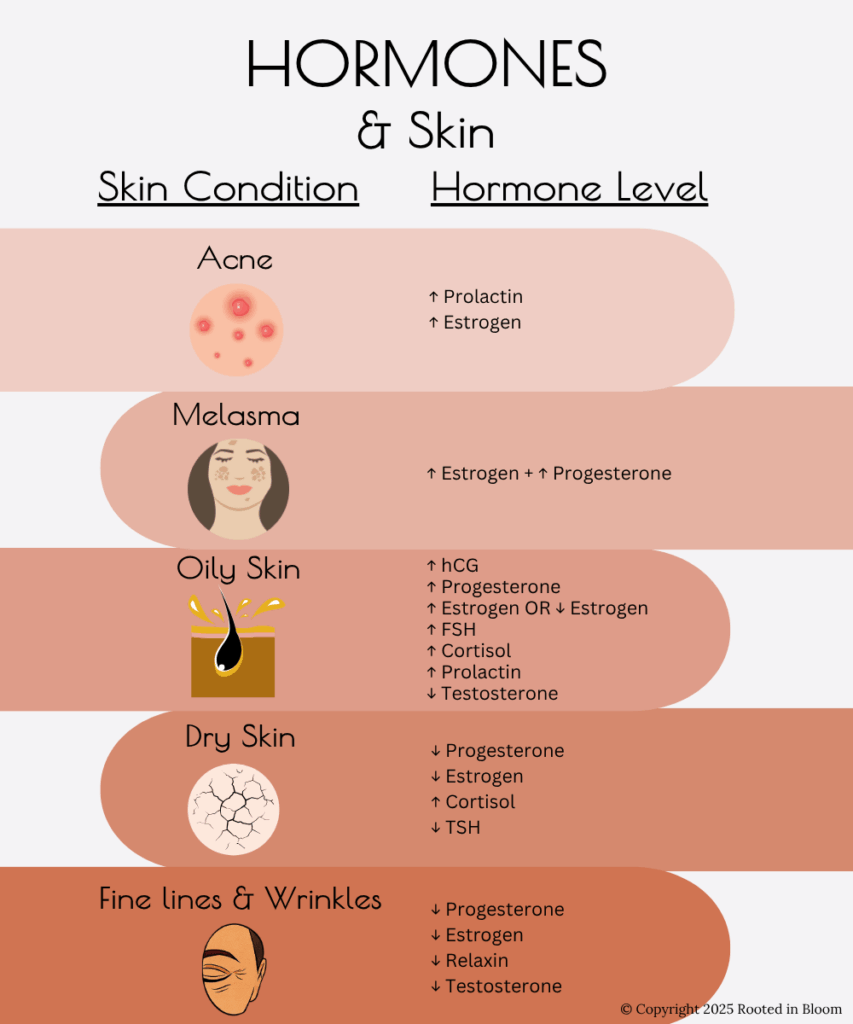 Diagram showing how hormonal changes affect skin conditions such as acne, dryness, and sensitivity.