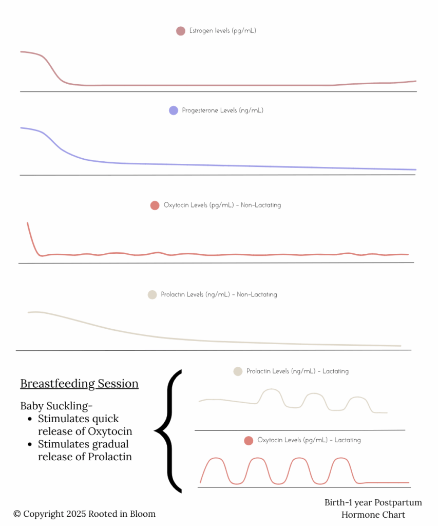 Postpartum hormones for nonlactating mothers and lactating mothers - Estrogen, Progesterone, Prolactin, Oxytocin, from birth to 1 year, and breastfeeding session hormone - Oxytocin, Prolactin spikes and dips